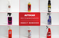 13 BEST INSECT REMOVER Header 